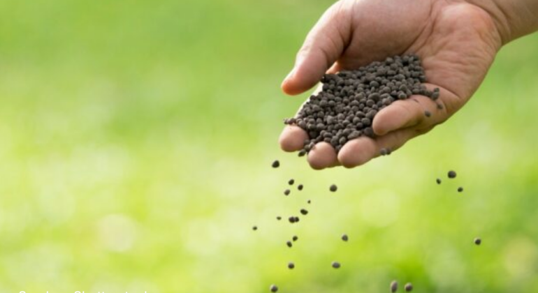 BERAPA DOSIS IDEAL UNTUK PENGGUNAAN URINE KELINCI DAN GUANO PADA TANAMAN CABAI