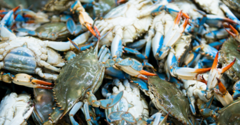 INTIP DAMPAK PENCEMARAN TERHADAP POPULASI RAJUNGAN