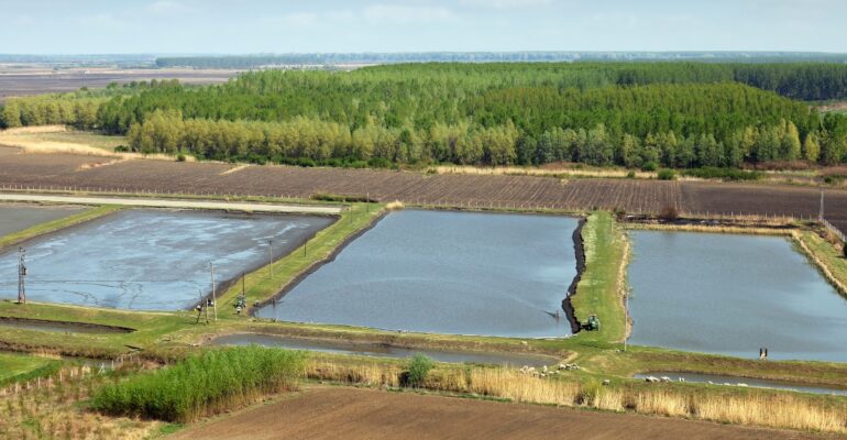 IPB DIGITANI - TANI DAN NELAYAN CENTER IPB UNIVERSITY - BAGAIMANA CARA MENGEMBALIKAN KESUBURAN SAWAH DI SEKITAR AREA TAMBAK