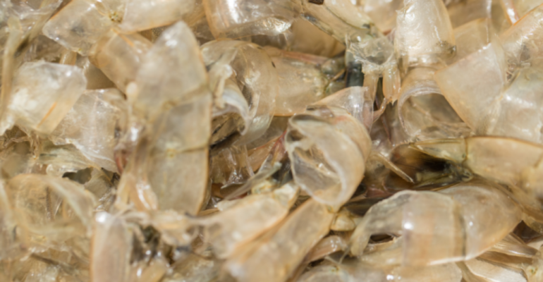 MENGUBAH LIMBAH KULIT UDANG MENJADI SUMBER KEUNTUNGAN