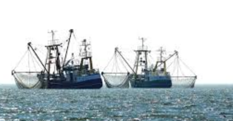 OVERFISHING DAMPAK DAN SOLUSINYA MELALUI KEBIJAKAN