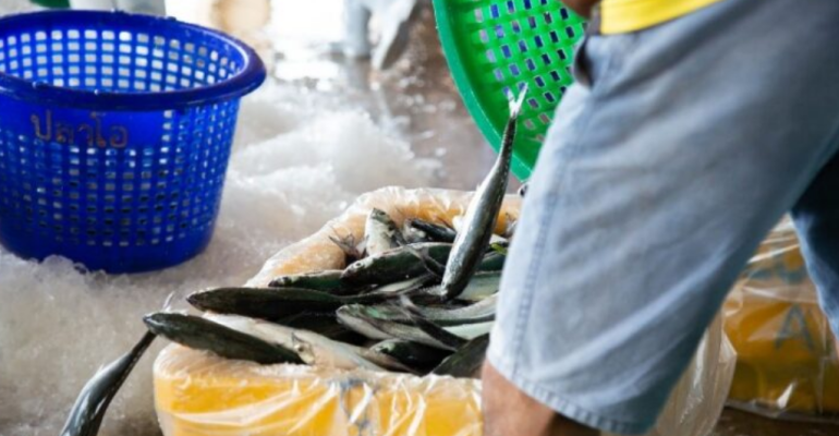 PERATURAN KUOTA PENANGKAPAN IKAN NELAYAN PERLU TAHU