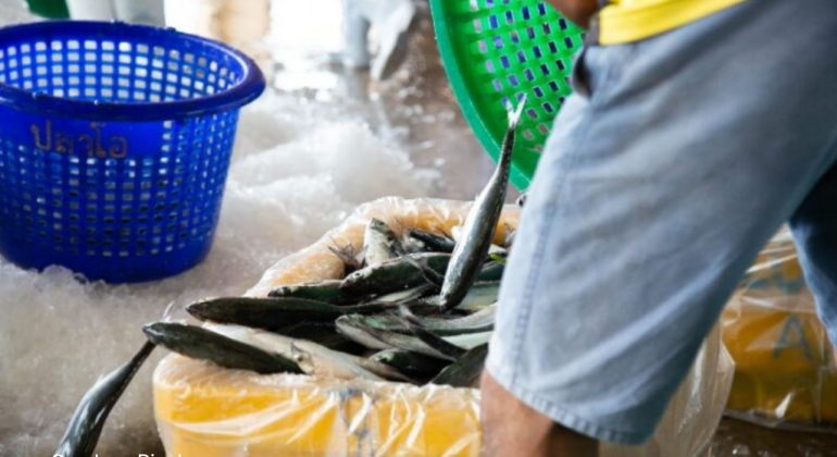 PERATURAN KUOTA PENANGKAPAN IKAN NELAYAN PERLU TAHU