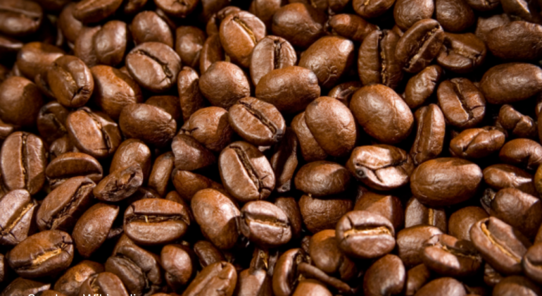 PERJALANAN KOPI SEBAGAI PENGHUBUNG BERBAGAI TRADISI