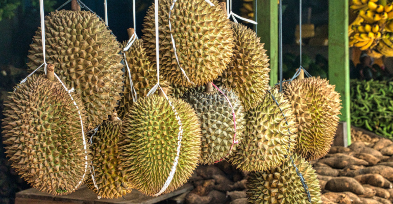 TERNYATA INI LAH PENYEBAB BAU PADA BUAH DURIAN