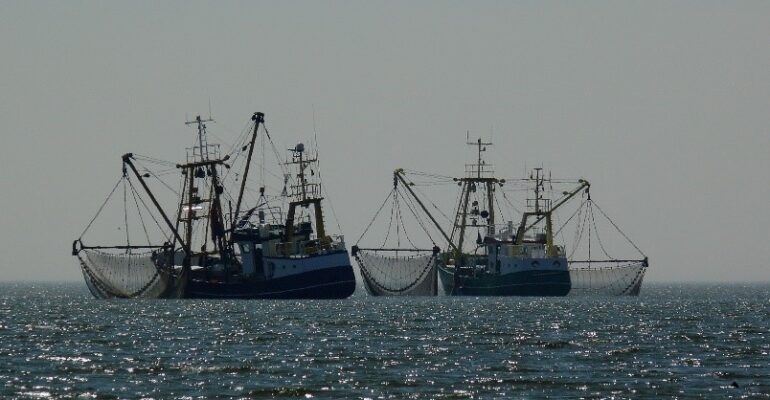 IPB DIGITANI - TANI DAN NELAYAN CENTER IPB UNIVERSITY - OVERFISHING: DAMPAK DAN SOLUSINYA MELALUI KEBIJAKAN