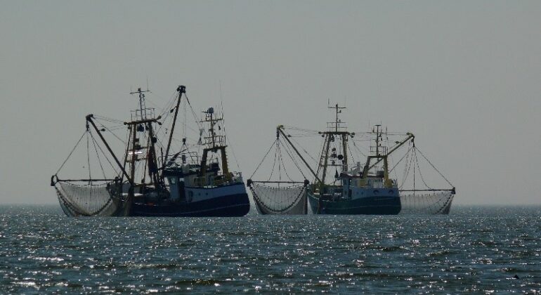 IPB DIGITANI - TANI DAN NELAYAN CENTER IPB UNIVERSITY - OVERFISHING: DAMPAK DAN SOLUSINYA MELALUI KEBIJAKAN