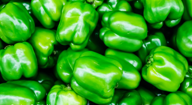 INI DIA SUHU PENYIMPANAN YANG PAS UNTUK PAPRIKA HIJAU!