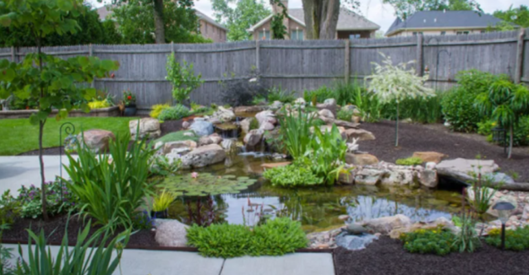 JAGA KESEIMBANGAN EKOSISTEM AQUASCAPE WJAGA KESEIMBANGAN EKOSISTEM AQUASCAPE WATER GARDEN DENGAN CARA INIATER GARDEN DENGAN CARA INI