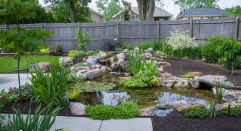 JAGA KESEIMBANGAN EKOSISTEM AQUASCAPE WJAGA KESEIMBANGAN EKOSISTEM AQUASCAPE WATER GARDEN DENGAN CARA INIATER GARDEN DENGAN CARA INI
