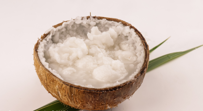 KELAPA KOPYOR KEUNIKAN DAN KANDUNGAN NUTRISINYA