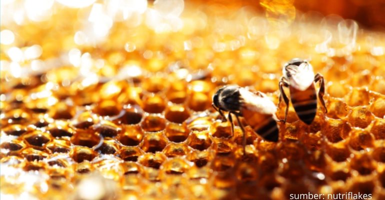 KETAHUI POTENSI BESAR PROPOLIS
