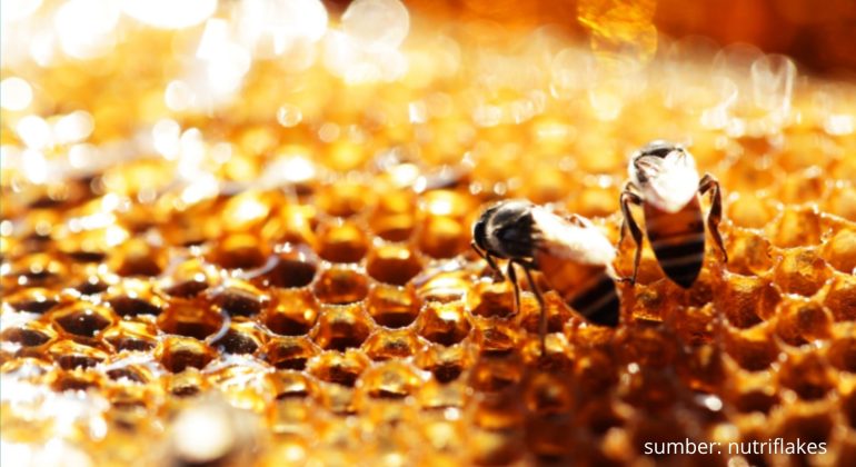 KETAHUI POTENSI BESAR PROPOLIS