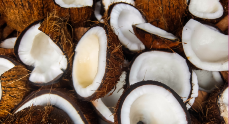 POTENSI EKONOMI KELAPA KOPYOR DAN TANTANGAN PENGEMBANGANNYA