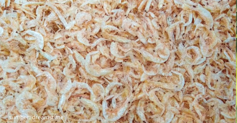 UDANG REBON POTENSI EKONOMI DAN TEKNIK PENGOLAHANNYA