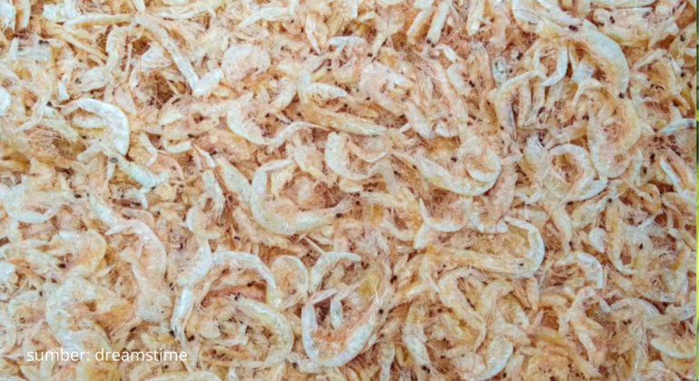 UDANG REBON POTENSI EKONOMI DAN TEKNIK PENGOLAHANNYA