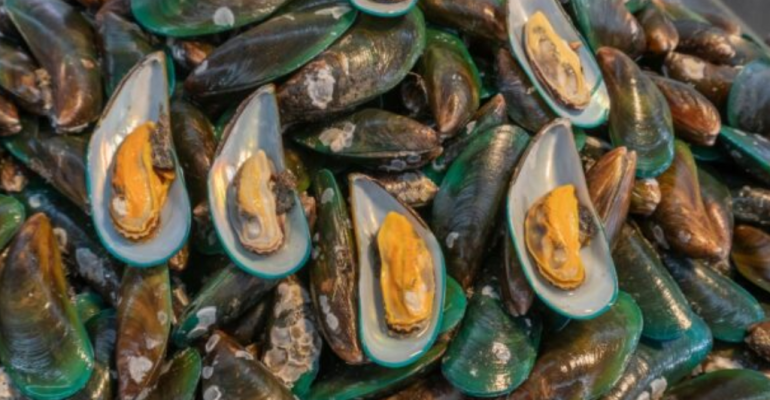 APA PENYEBAB KERACUNAN TOKSIN PADA KERANG HIJAU
