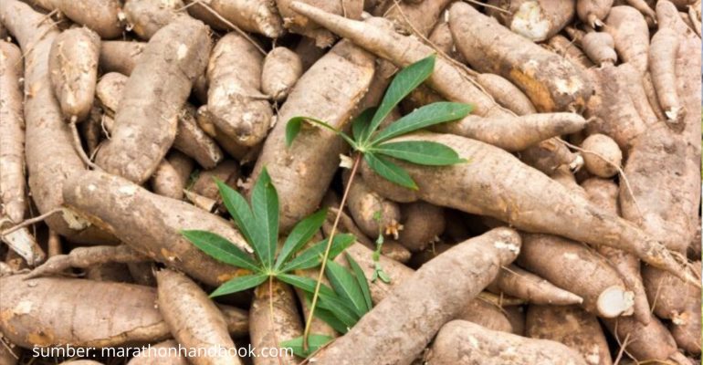 BERAPA DOSIS IDEAL PUPUK NPK UNTUK TANAMAN SINGKONG