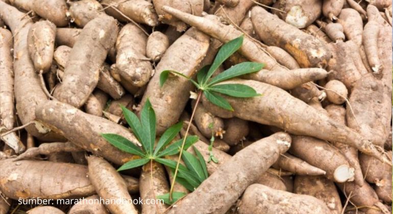 BERAPA DOSIS IDEAL PUPUK NPK UNTUK TANAMAN SINGKONG