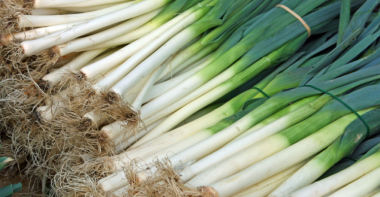 CEGAH PENYAKIT DAN TINGKATKAN PRODUKSI DAUN BAWANG SAAT MUSIM HUJAN