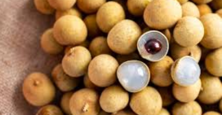 BAGAIMANA CARA MEMBUAT BOOSTER KELENGKENG KRISTAL AGAR BERBUAH OPTIMAL