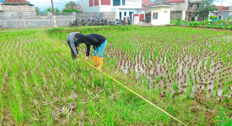IPB DIGITANI - TANI DAN NELAYAN CENTER IPB UNIVERSITY - INI PENTINGNYA PENGUKURAN LAHAN SEBELUM MULAI BUDIDAYA