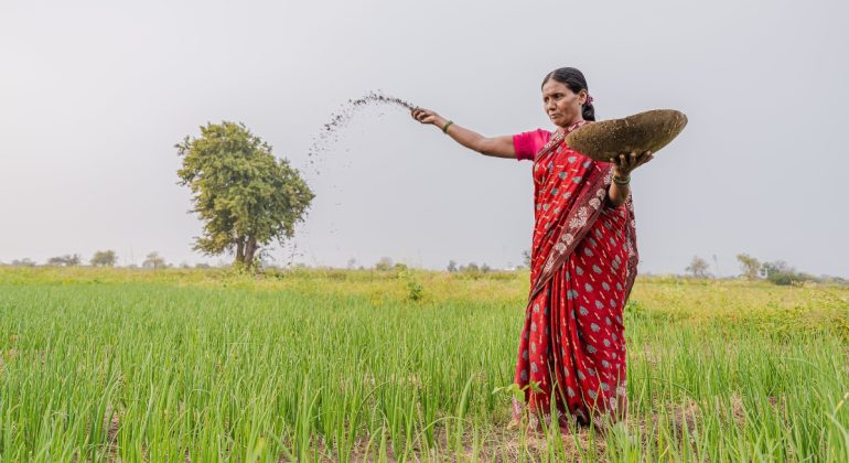 IPB DIGITANI - TANI DAN NELAYAN CENTER IPB UNIVERSITY - APA PUPUK TERBAIK UNTUK PADI YANG RAMAH LINGKUNGAN?