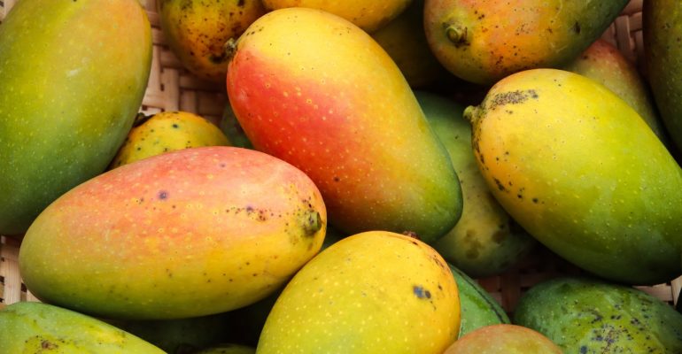 IPB DIGITANI - TANI DAN NELAYAN CENTER IPB UNIVERSITY - APA JENIS MANGGA YANG PALING DISUKAI MASYARAKAT?