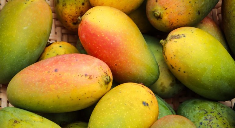 IPB DIGITANI - TANI DAN NELAYAN CENTER IPB UNIVERSITY - APA JENIS MANGGA YANG PALING DISUKAI MASYARAKAT?