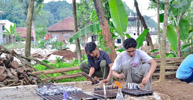 IPB DIGITANI - TANI DAN NELAYAN CENTER IPB UNIVERSITY - PENTING DIKETAHUI: TAHAP DASAR BUDIDAYA CABAI YANG EFISIEN