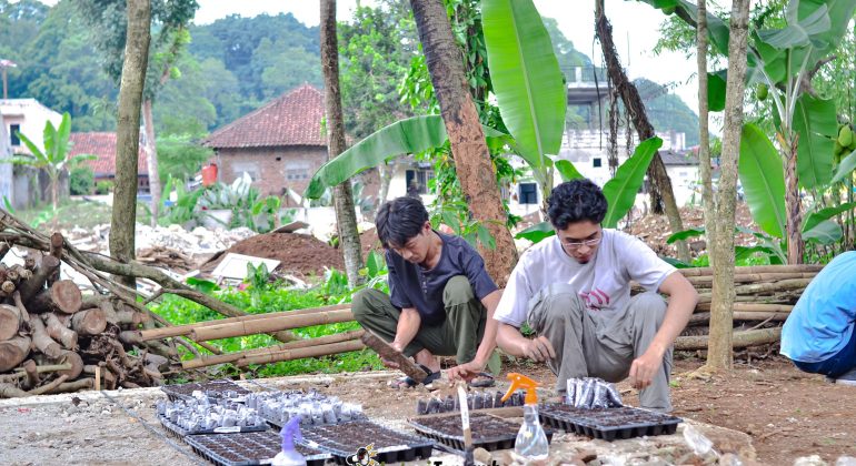 IPB DIGITANI - TANI DAN NELAYAN CENTER IPB UNIVERSITY - PENTING DIKETAHUI: TAHAP DASAR BUDIDAYA CABAI YANG EFISIEN
