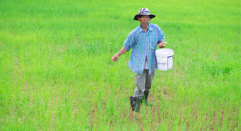 IPB DIGITANI - TANI DAN NELAYAN CENTER IPB UNIVERSITY - PENTINGNYA PEMUPUKAN LAHAN SAWAH SEBELUM DITANAMI PADI
