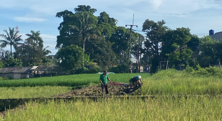 IPB DIGITANI - TANI DAN NELAYAN CENTER IPB UNIVERSITY - RANTAI EKOSISTEM LAHAN PERTANIAN: INTERAKSI PENJAGA KESEIMBANGAN ALAM