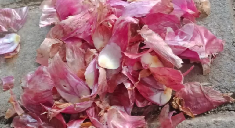 APAKAH LIMBAH BAWANG MERAH DAPAT DIOLAH MENJADI PUPUK ALAMI