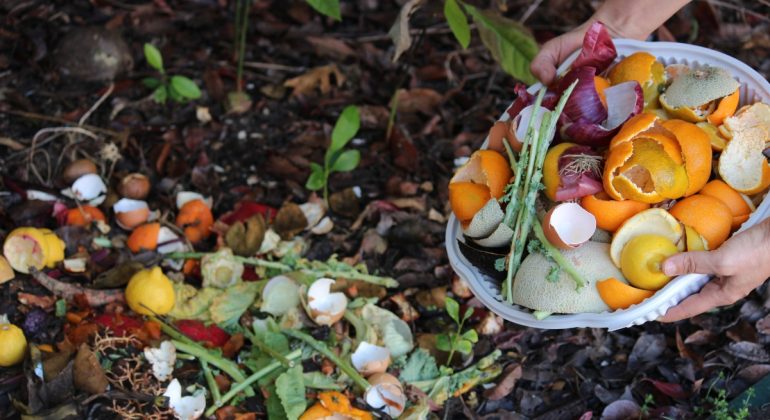 IPB DIGITANI - TANI DAN NELAYAN CENTER IPB UNIVERSITY - BAGAIMANA CARA MEMBUAT KOMPOS YANG EFEKTIF?