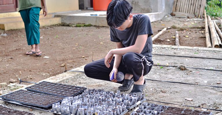 IPB DIGITANI - TANI DAN NELAYAN CENTER IPB UNIVERSITY - KETAHUI FAKTOR-FAKTOR YANG PENGARUHI KEBERHASILAN PERSEMAIAN CABAI