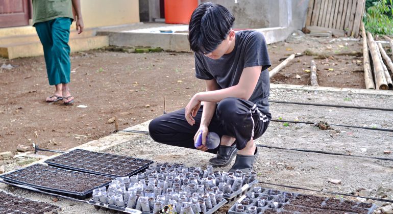 IPB DIGITANI - TANI DAN NELAYAN CENTER IPB UNIVERSITY - KETAHUI FAKTOR-FAKTOR YANG PENGARUHI KEBERHASILAN PERSEMAIAN CABAI