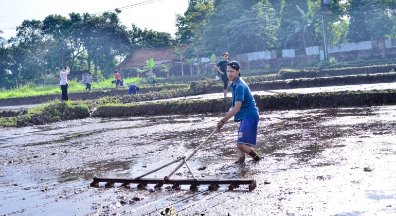 IPB DIGITANI - TANI DAN NELAYAN CENTER IPB UNIVERSITY - PENCAPLAKAN SAWAH: METODE, TUJUAN, DAN MANFAATNYA