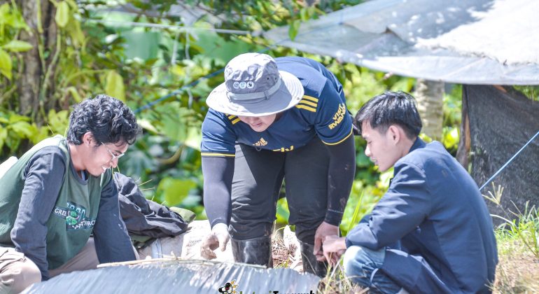 IPB DIGITANI - TANI DAN NELAYAN CENTER IPB UNIVERSITY - TIPS BUDIDAYA CABAI: GUNAKAN MULSA UNTUK TEKAN GULMA DAN JAGA KELEMBAPAN TANAH