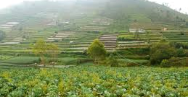 UKUR LAHAN TERLEBIH DAHULU SEBELUM MULAI MENANAM!