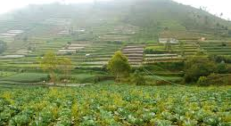 UKUR LAHAN TERLEBIH DAHULU SEBELUM MULAI MENANAM!