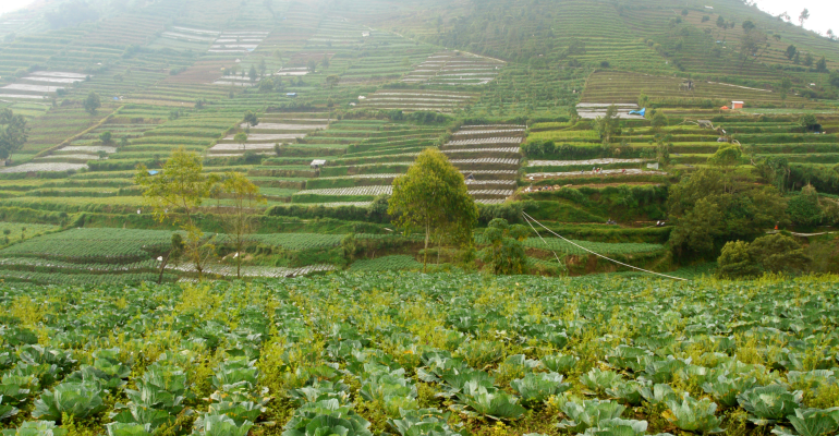 IPB DIGITANI - TANI DAN NELAYAN CENTER IPB UNIVERSITY - UKUR LAHAN TERLEBIH DAHULU SEBELUM MULAI MENANAM!