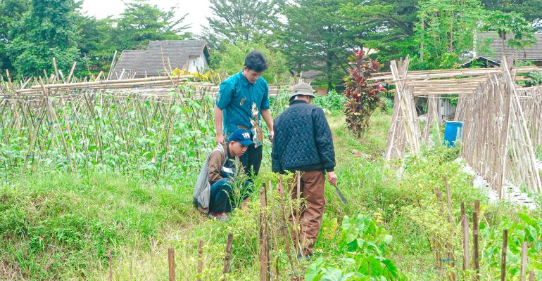 JANGAN TANAM DULU! INI TIGA LANGKAH PENTING SEBELUM BERTANI