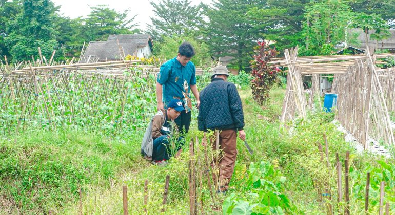 JANGAN TANAM DULU! INI TIGA LANGKAH PENTING SEBELUM BERTANI