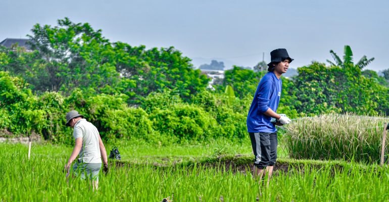 PETANI WAJIB TAHU! KOMPONEN BIOTIK INI DAPAT TENTUKAN HASIL PANEN