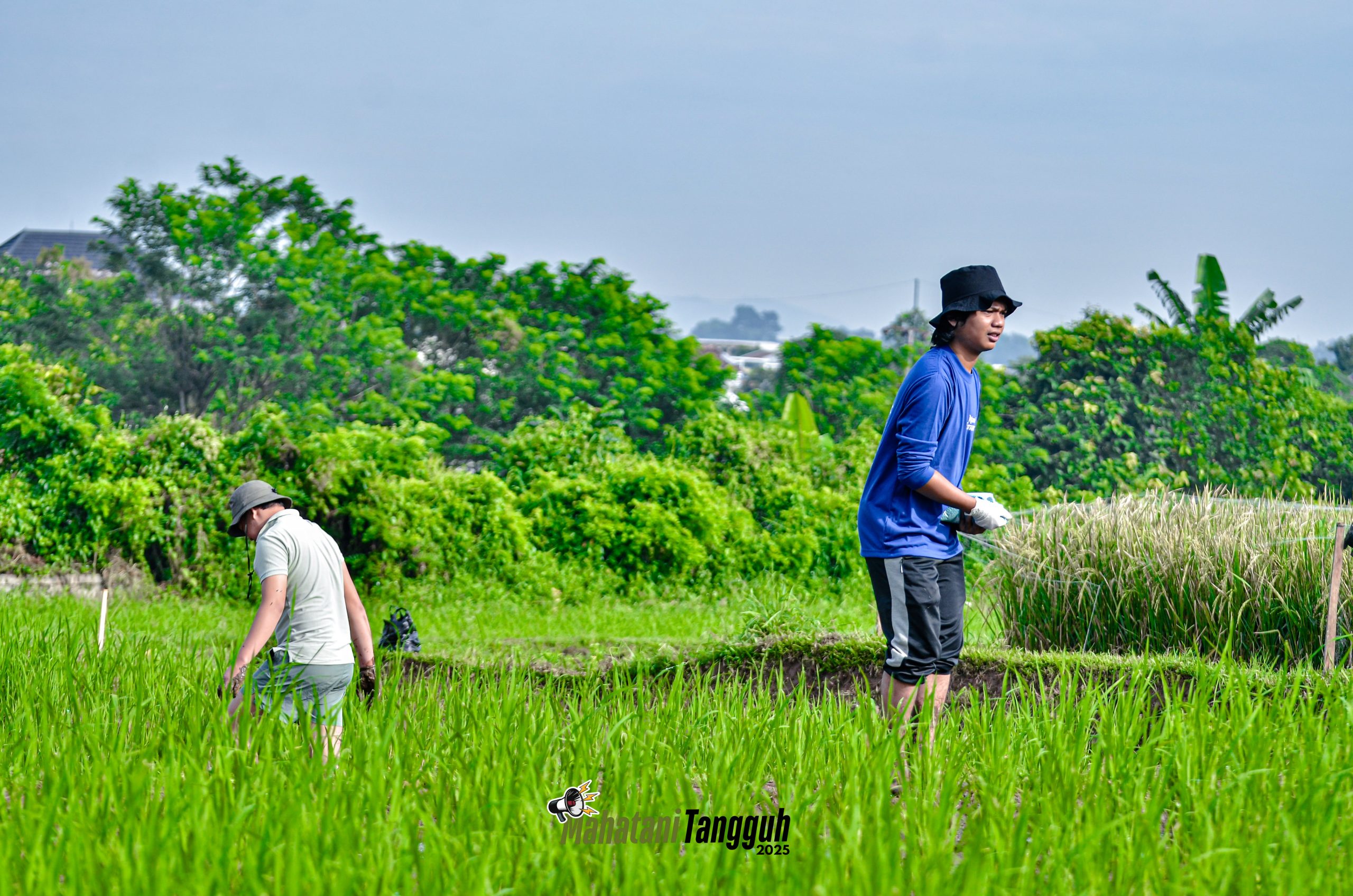 PETANI WAJIB TAHU! KOMPONEN BIOTIK INI DAPAT TENTUKAN HASIL PANEN