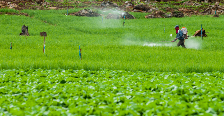 PESTISIDA NABATI: SOLUSI RAMAH LINGKUNGAN UNTUK PERTANIAN SEHAT BERKELANJUTAN