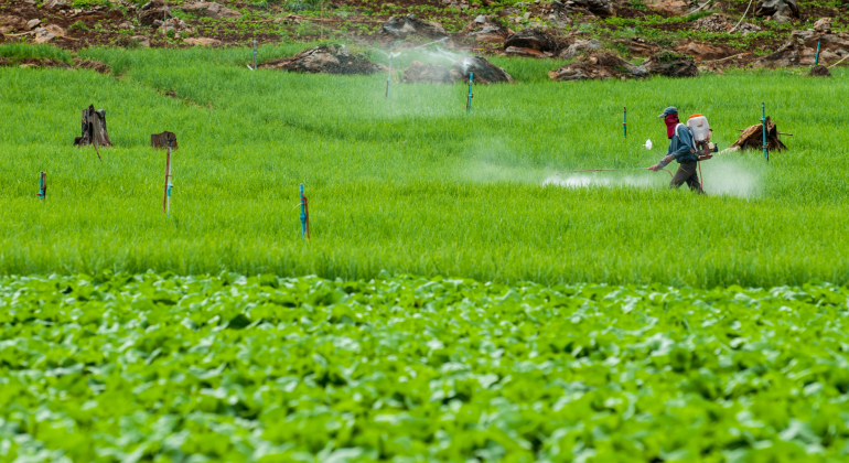 PESTISIDA NABATI: SOLUSI RAMAH LINGKUNGAN UNTUK PERTANIAN SEHAT BERKELANJUTAN