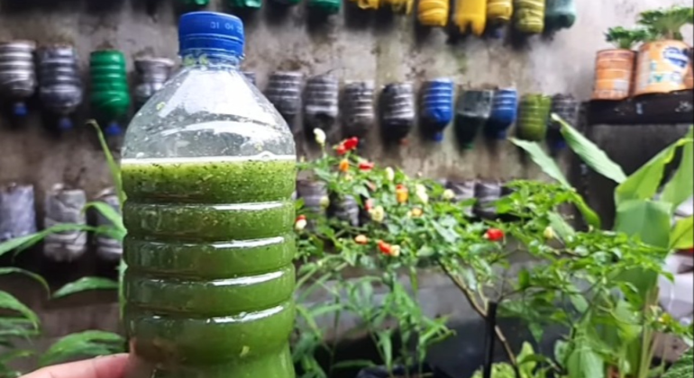 Contoh pestisda nabati | gambar:purwasuka.viva.co.id