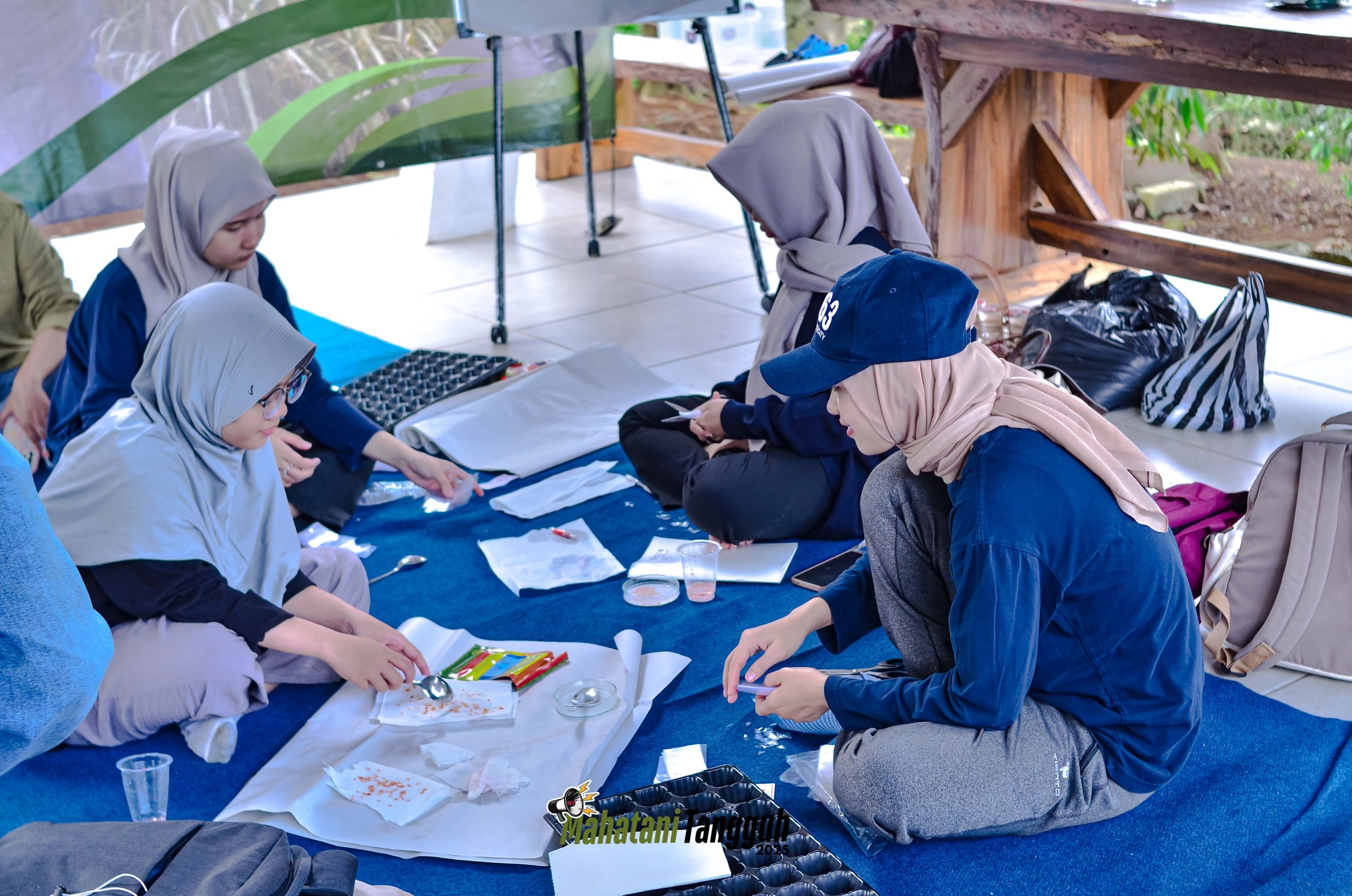 Kegiatan pemilihan bibit cabai yang berkualitas pada Program Mahasiswa Petani Tangguh | Dok. Tani dan Nelayan Center IPB University (2025)